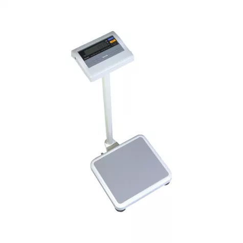 BWB-800P Doctors Scale